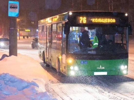 Оплата проезда возможно только наличными или картой