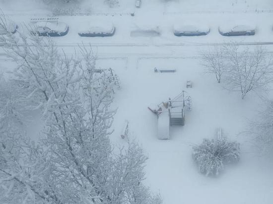 Циклон «Эльза» продолжит заваливать Воронежскую область мокрым снегом