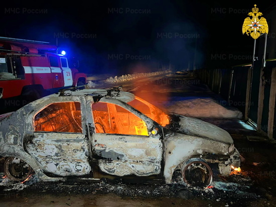В Ельне припаркованный автомобиль  выгорел дотла