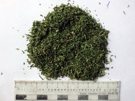 В Смоленской области полицейские задержали наркоторговца с марихуаной