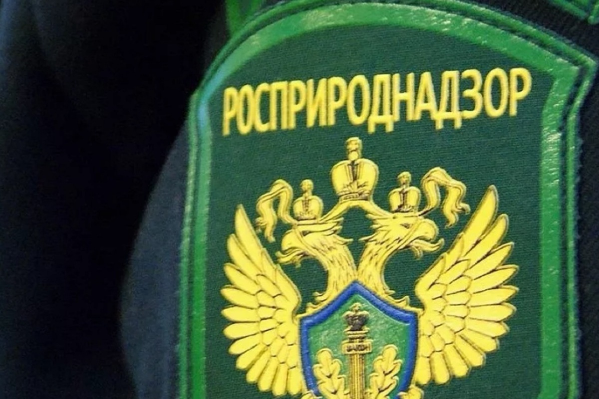 Костромские строгости: Росприроднадзор онтрафовал крупнейшее предпрятие Шарьи на 25 млн рублей