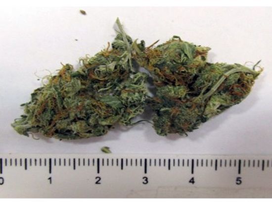 Смоленские наркополицейские взяли дилера на сделке