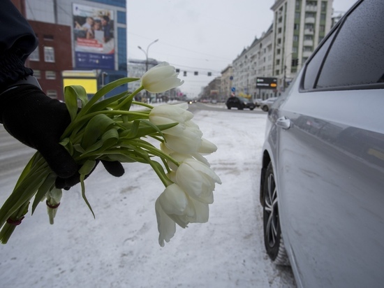 Мороз и оттепель с метелью ожидаются в Новосибирске в праздничные выходные 6,7 и 8 марта