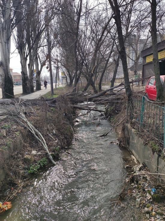 Неистребимые свалки
