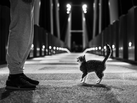 На вновь присоединённых территориях ЛНР вводится комендантский час