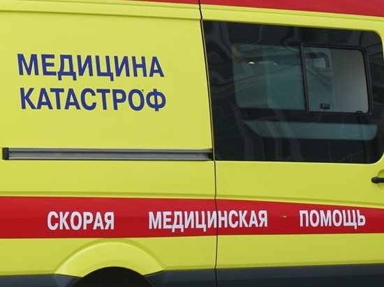 Под Курском столкнулись два КамАЗа: в результате ДТП ранен пассажир