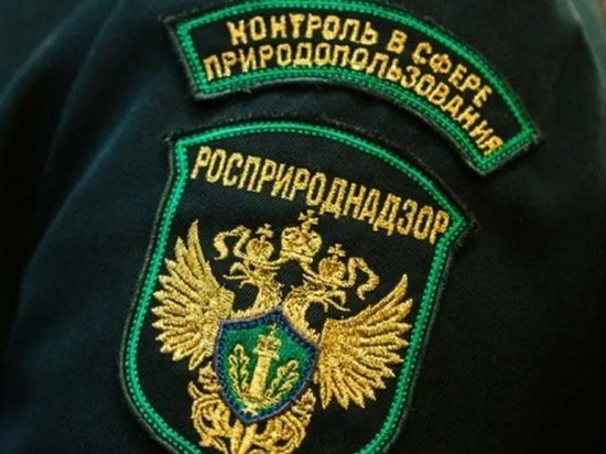 В Ярославле завод лакокрасочных материалов загрязняет воздух бутанолом