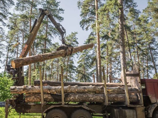 На дорогах Новгородчины ограничат проезд крупногабаритного транспорта с 1 апреля по 14 мая