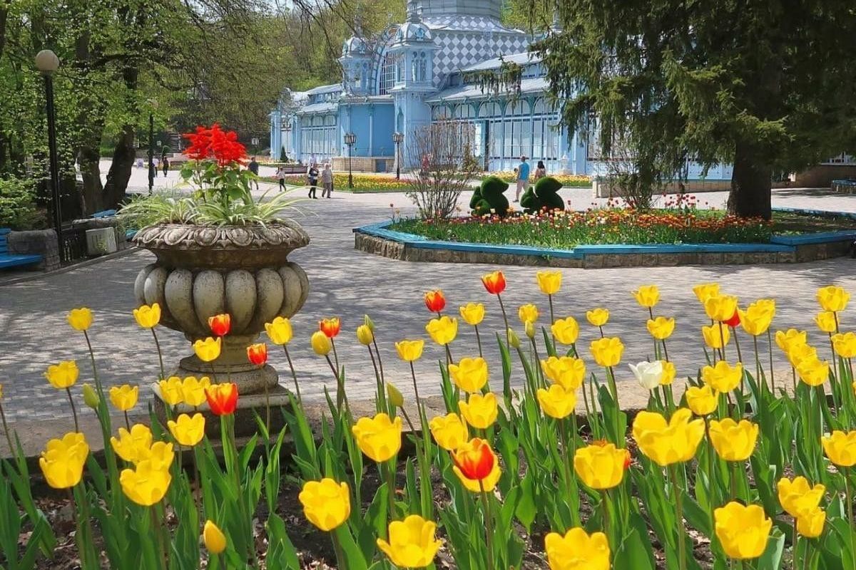 Рынок в железноводске. Цветники Железноводска. Железноводск аллея. Железноводск Ставропольский край. Парк Железноводска 2022.