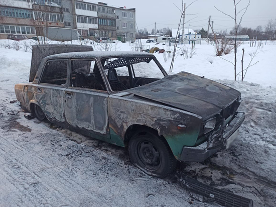Мужчина похитил автомагнитолу и аккумулятор, а потом поджог машину в селе Зимогорье