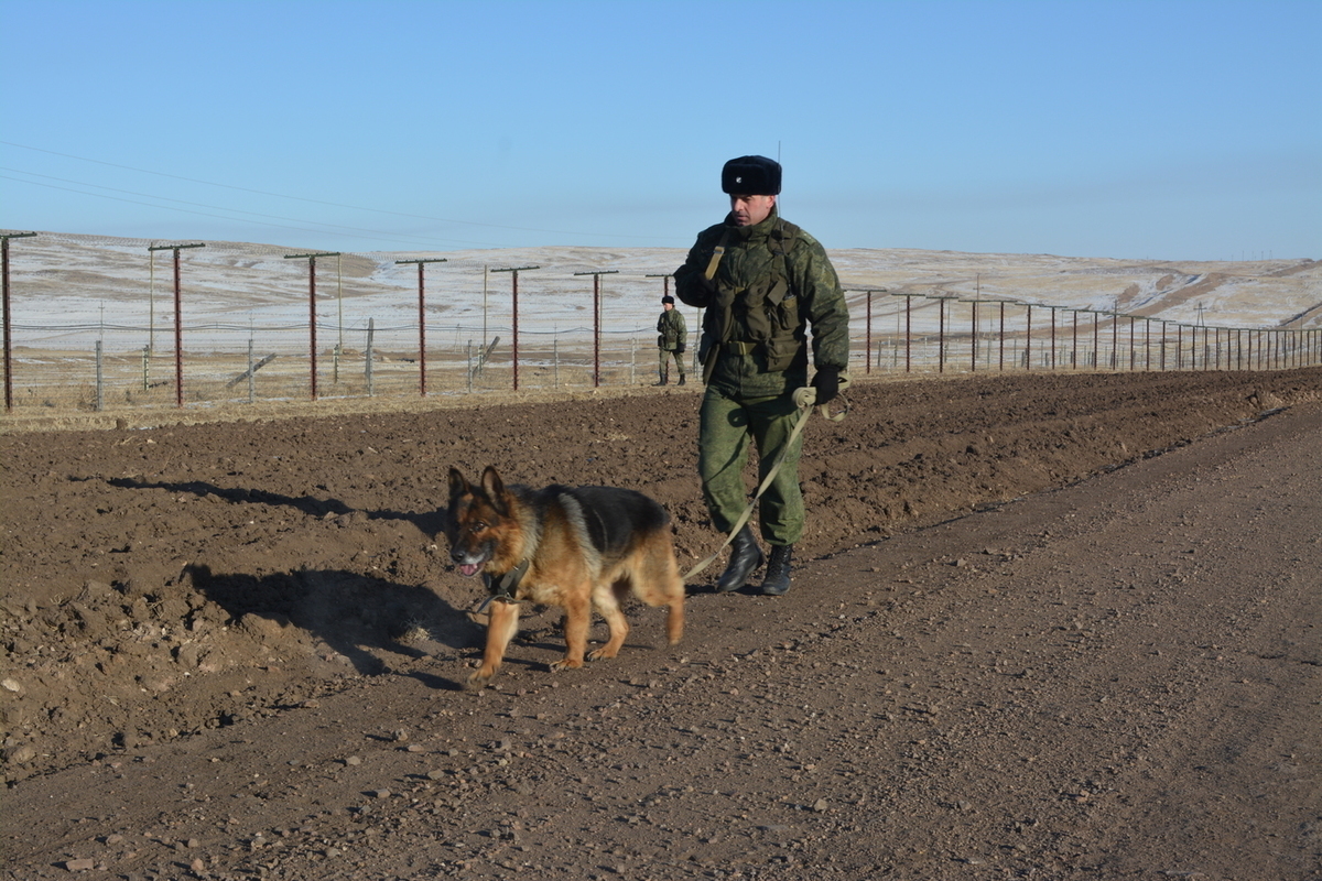 Фото пограничников с собакой на границе