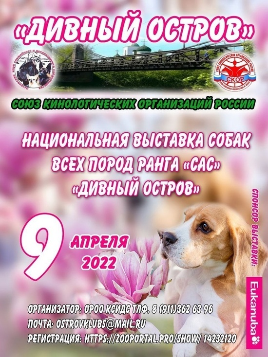 В апреле в Острове пройдёт национальная выставка собак всех пород