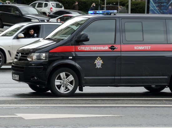 Бастрыкин поручил расследовать заочные аресты артистов из РФ на Украине