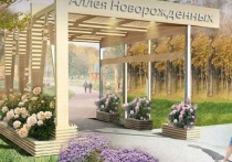 Жители Валуйского горокруга сами выбрали места для благоустройства путем онлайн-голосования по проекту «Формирование комфортной городской среды»