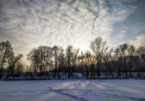 После праздничных выходных в Белгородской области усилится мороз