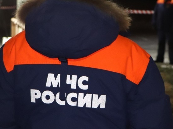 Стало известно, кто был за штурвалом рухнувшего в Ленобласти легкомоторного самолета