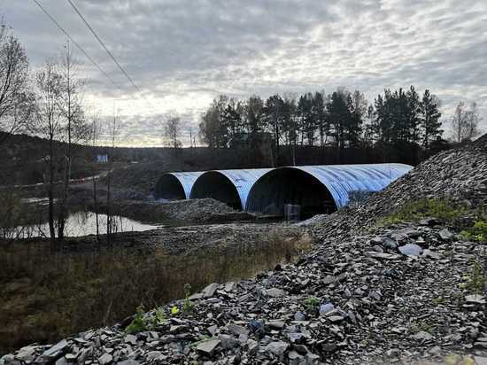 В Новосибирской области на курорте Новососедово появится новый мост