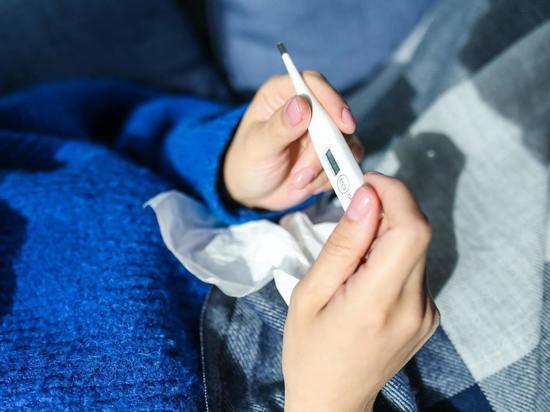 Заболеваемость ОРВИ и гриппом в Карелии снизилась в 2 раза