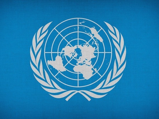 Россия предложила ООН ввести понятие «цифровой нейтралитет»