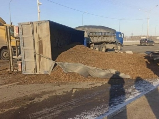 Под Барнаулом перевернулся прицеп с гречкой