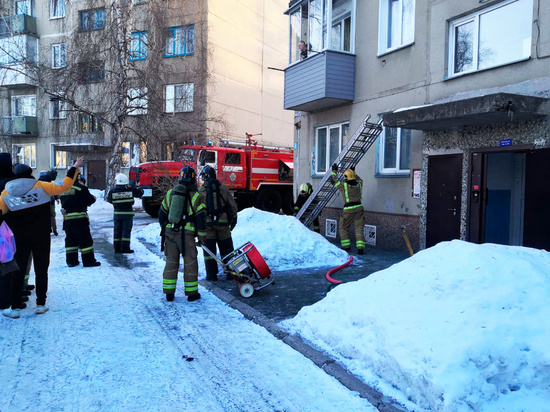 Двоих детей спасли из едкого дыма пожарные в Новосибирской области