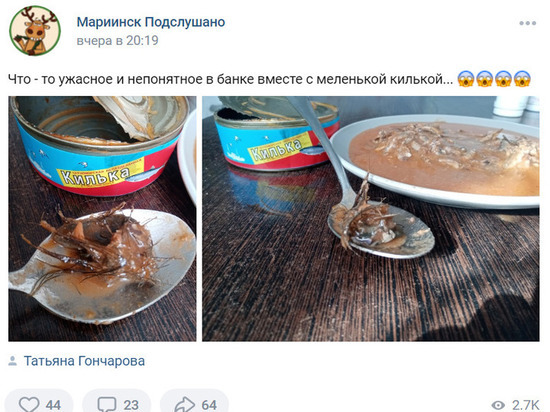 Найденное в банке с килькой волосатое нечто ужаснуло жительницу Кузбасса