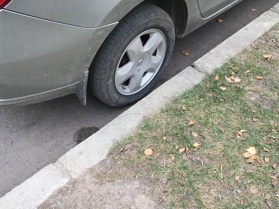 Два соседа-смолянина стреляли и распыляли газ в борьбе за парковочное место