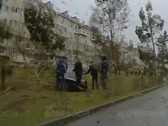 В Сочи LADA съехала с трассы и врезалась в дерево
