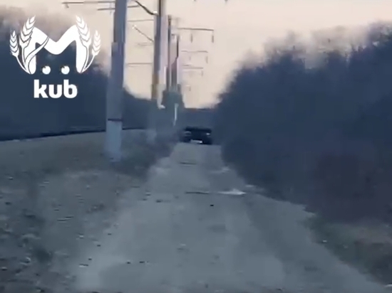 Ты мне заплатишь: жительница Краснодара обругала мусоровоз за свалку в лесополосе