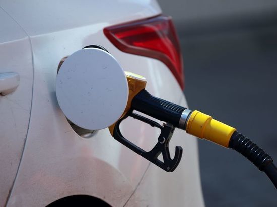 ФАС увидела предпосылки для снижения розничных цен на топливо
