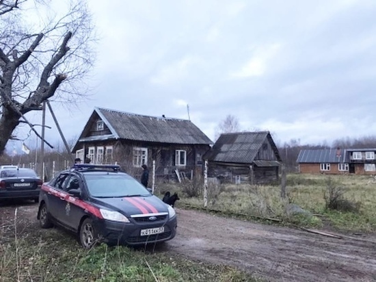 Суд решит судьбу новгородки и ее знакомого, которые убили, расчленили и сожгли в печи старика