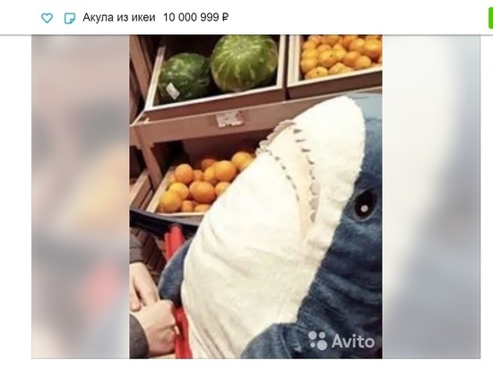 Жительница Норильска Красноярского края продает акулу из «IKEA» за 1 миллион рублей