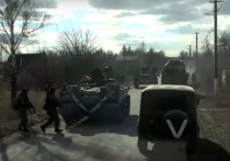 Объявленная 24 февраля специальная военная операция на Украине продолжается ровно две недели