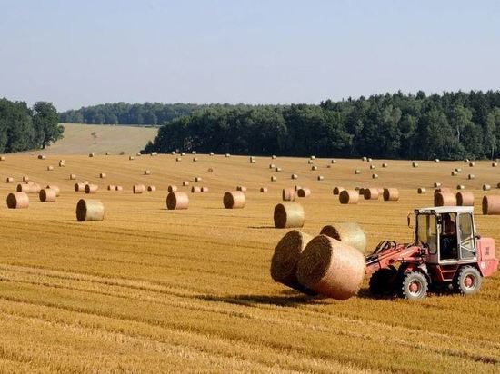 Россия решила временно запретить экспорт зерна и сахара