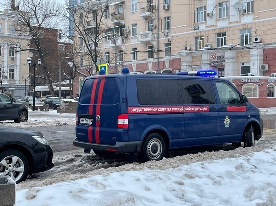 По факту гибели двух детей при пожаре под Ростовом завели уголовное дело