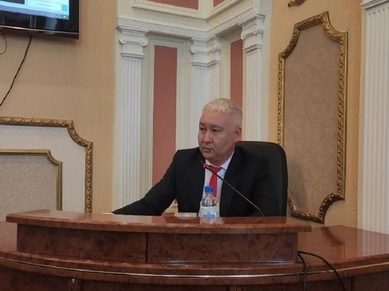 Депутаты проголосовали за нового сити-менеджера Элисты