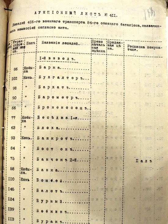 «Борщ и Боржом»: как называли лошадей в 1917 году, рассказали в псковском архиве