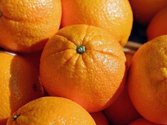 В Омске специалисты обнаружили в партии апельсинов опасного вредителя