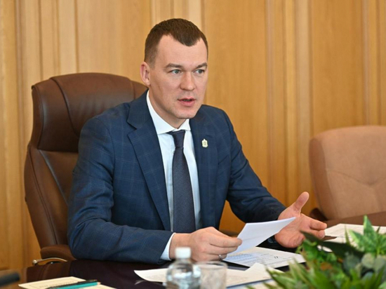 Чиновники и депутаты поддержали губернатора Хабаровского края