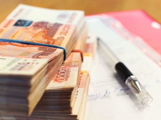 Эконарушителей в Ленобласти оштрафовали на более 15 млн рублей с начала года