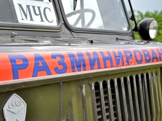 В ДНР предупредили, что на разминирование Донбасса уйдут десятки лет