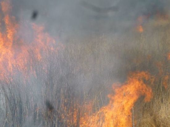 В пожаре на севере Омской области погибла женщина-инвалид