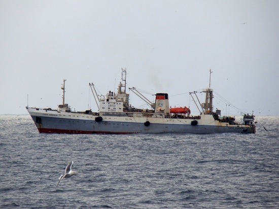 Возле Камчатки в Охотском море терпит бедствие рыболовецкий сейнер