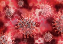 Общее количество заражений коронавирусом с начала пандемии в Забайкалье достигло 159 025 случаев, выздоровлений - 135 017, смертей от этой болезни - 2 557