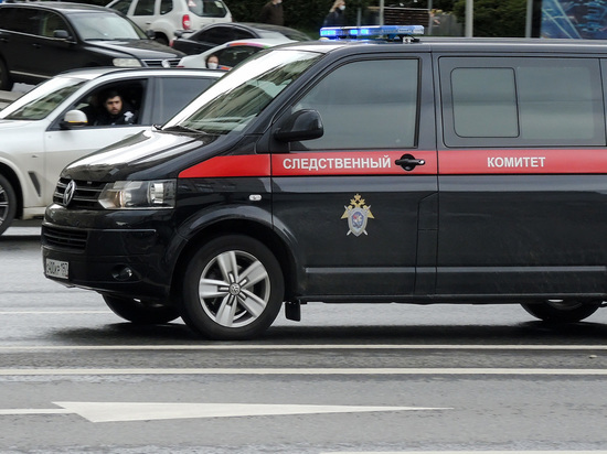 В СК сообщили подробности убийства двухлетнего ребенка в Москве