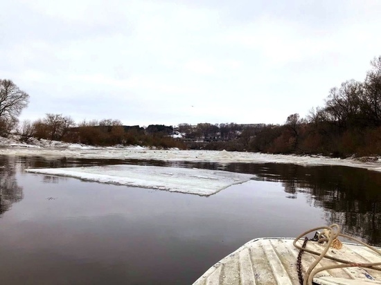 В Смоленске 13 марта водолазы по итогам четвертого дня поиска не обнаружили пропавших детей
