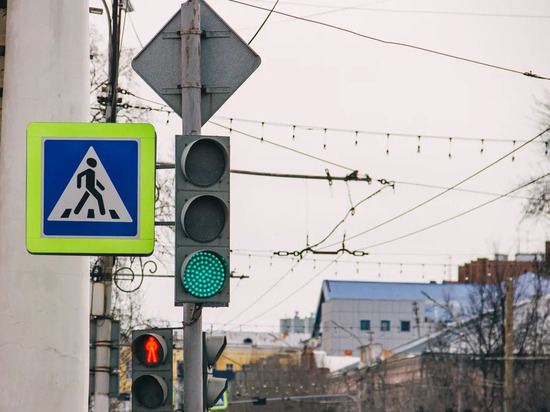 В центре Рязани предложили убрать опасный пешеходный переход