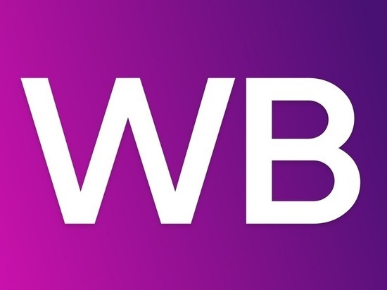 Жители Рязани массово жалуются на сбои в работе приложения Wildberries