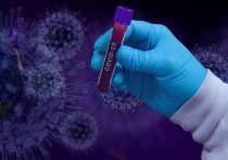 За прошлые сутки в Забайкалье выявлено 697 случаев заболевания коронавирусом, вылечены от этой болезни 1 230 человек, подтверждено пять летальных случаев