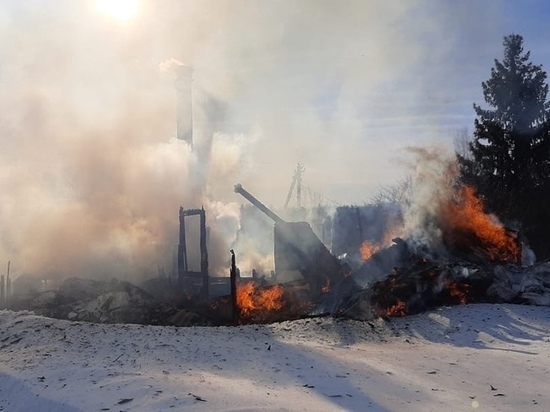 После гибели бабушки и ее маленькой внучки при пожаре в Пестовском районе возбуждено уголовное дело